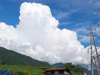 入山辺夏雲