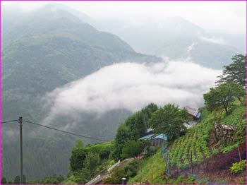 下栗の山里