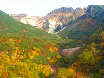 富良野岳