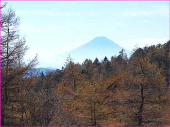 富士山望む