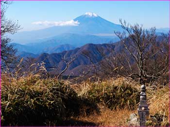 丹沢山から富士