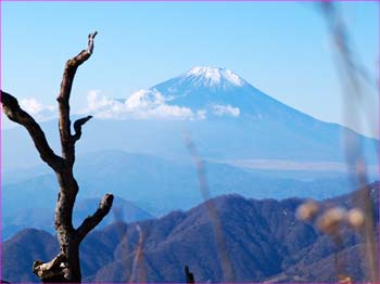 富士山望む