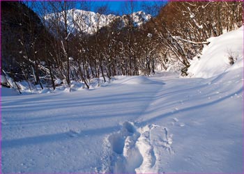 誰もいない爺ヶ岳への道