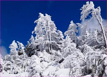 雪明けの景