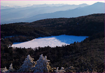 雪景