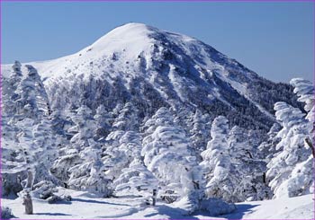 西天狗と樹氷