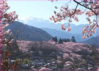 仙丈岳と城址公園