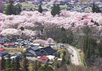 高遠城址公園