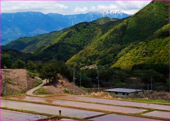 田園風景