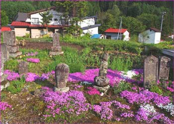 檜枝岐寸景