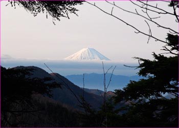 富士山見ゆ