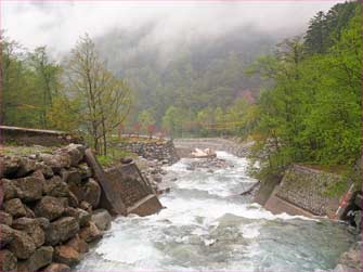 蒲田川