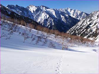 穂高連峰ながむ