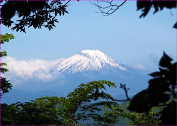 富士山望む