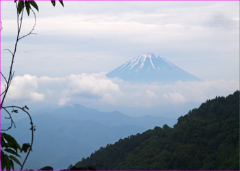 富士山が見えた