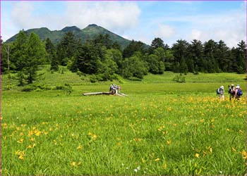 大江湿原