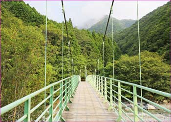 西沢へ吊り橋