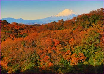 富士山