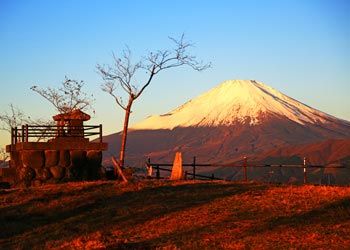 大野山山頂の富士