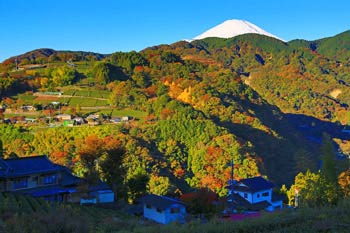 湯触からの富士