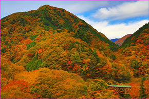 奥多摩お祭り紅葉