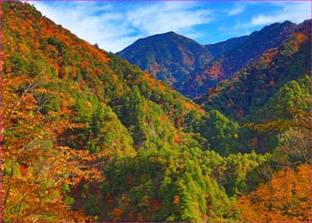 一ノ瀬飛龍山方面