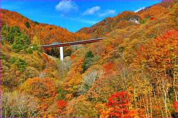 甲斐青梅街道秋景色