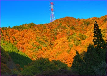 木賊夕照の山