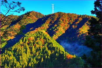 丹沢奥山晩秋