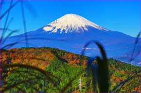 途中から富士山