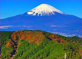 矢倉岳から富士山