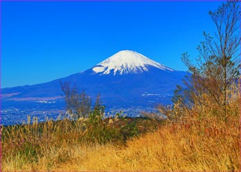 矢倉岳山頂にて富士