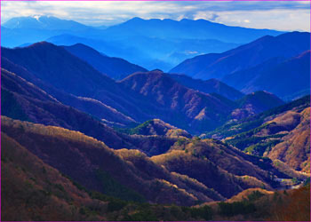 中川俯瞰