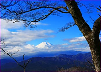 富士を望む