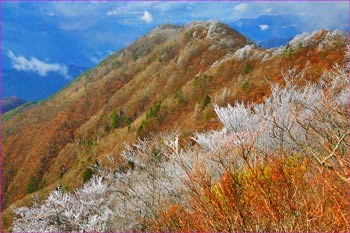 霧氷の尾根