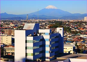 新林より富士展望