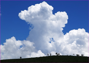 夏雲霧ヶ峰