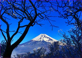 途中の富士山