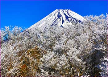 山頂の富士