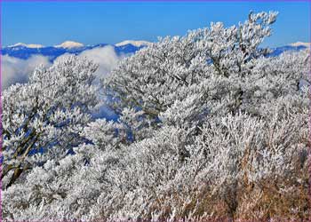 霧氷の山頂の南ア