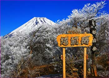 愛鷹山山頂