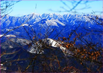 丹沢山塊望む