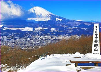 冬の金時山