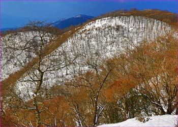 鍋割山冬景