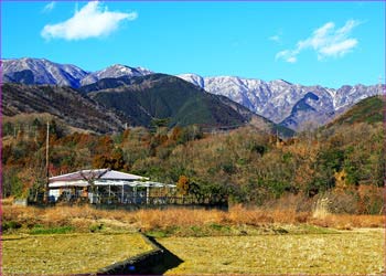 三廻部の里から表尾根