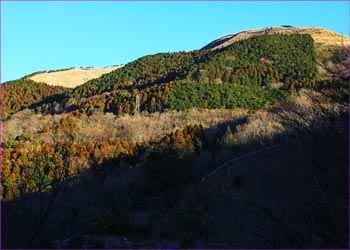 大野山ながむ