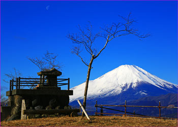 大野山山頂の富士