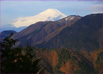 大倉尾根途中から富士山