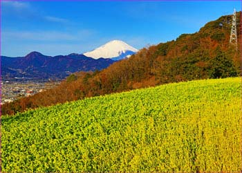 富士見塚にて