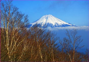 富士山展望